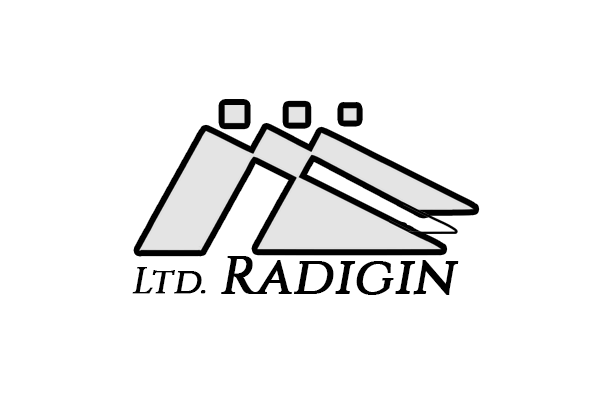 Radigin Ltd.